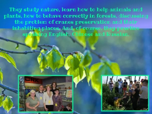 They study nature, learn how to help animals and plants, how to