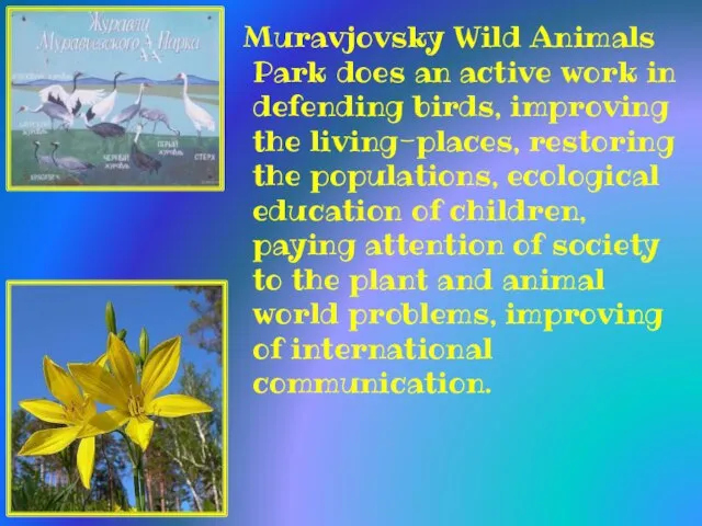 Muravjovsky Wild Animals Park does an active work in defending birds, improving