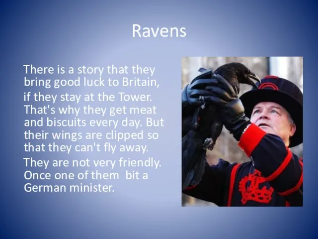 Ravens There is a story that they bring good luck to Britain,