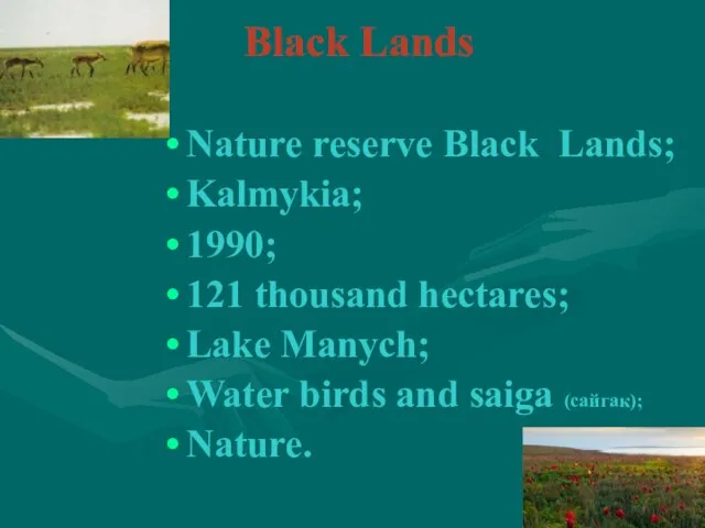 Black Lands Nature reserve Black Lands; Kalmykia; 1990; 121 thousand hectares; Lake
