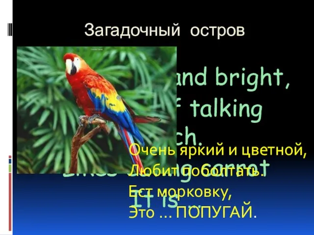 Загадочный остров So colorful and bright, Is fond of talking much. Likes