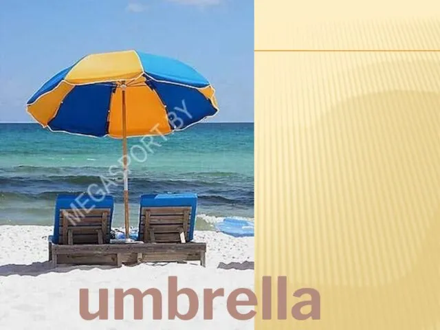 umbrella