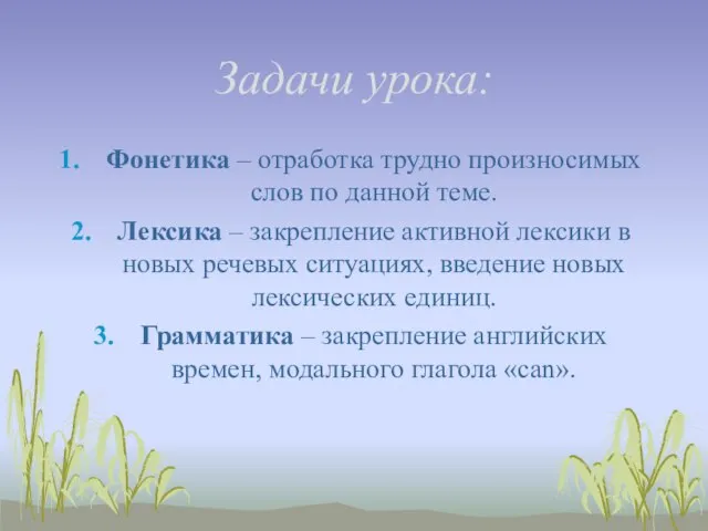 Задачи урока: Фонетика – отработка трудно произносимых слов по данной теме. Лексика