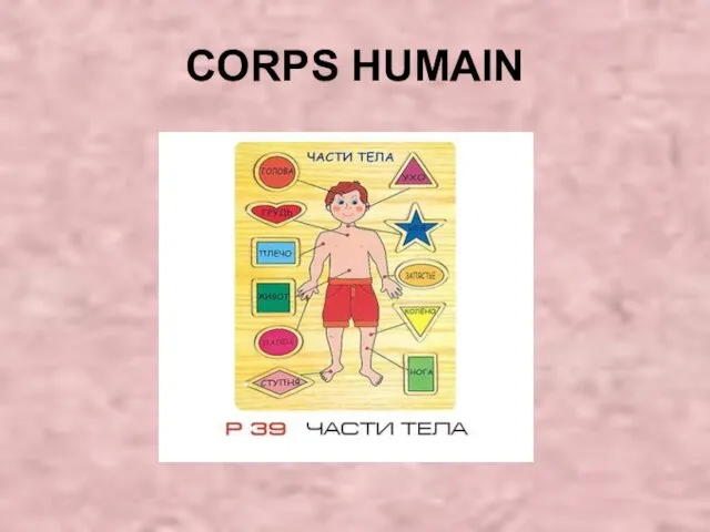 CORPS HUMAIN