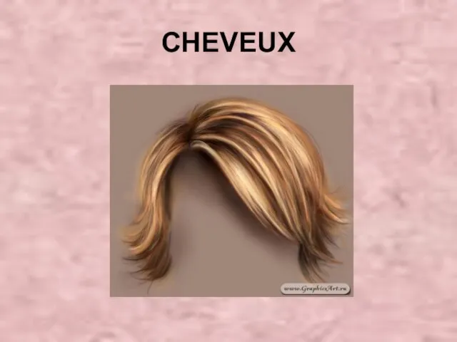 CHEVEUX