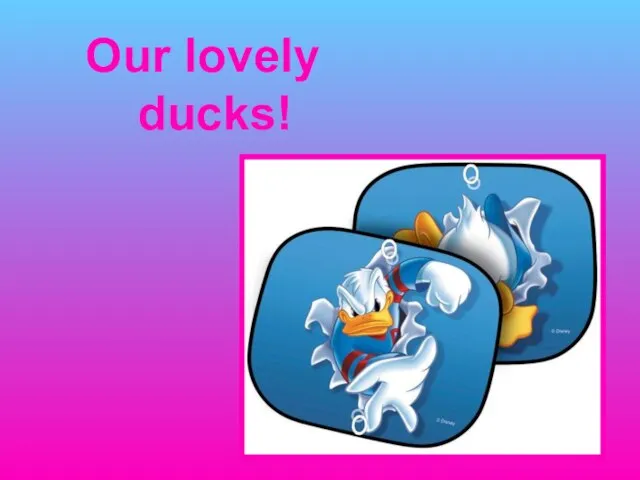 Our lovely ducks!