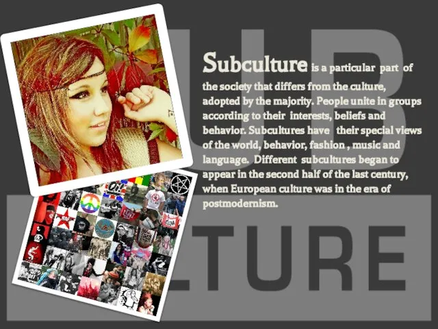 Subculture is a particular part of the society that differs from the