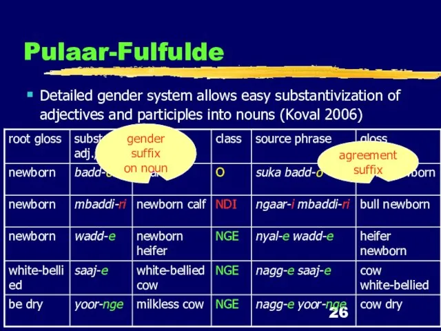 Pulaar-Fulfulde Detailed gender system allows easy substantivization of adjectives and participles into