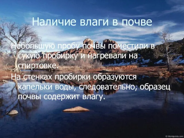 Наличие влаги в почве Небольшую пробу почвы поместили в сухую пробирку и