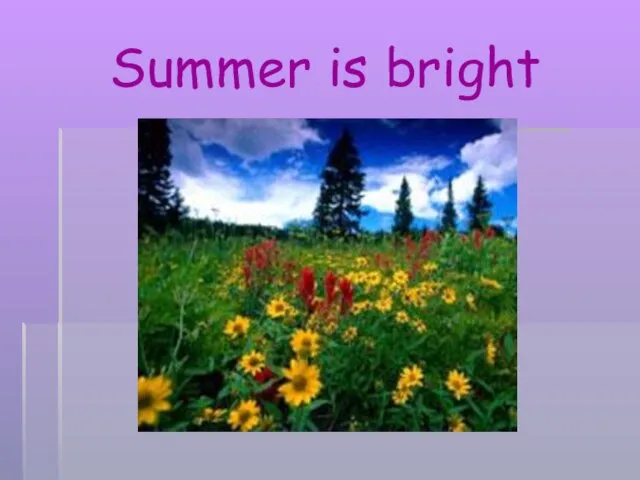 Summer is bright