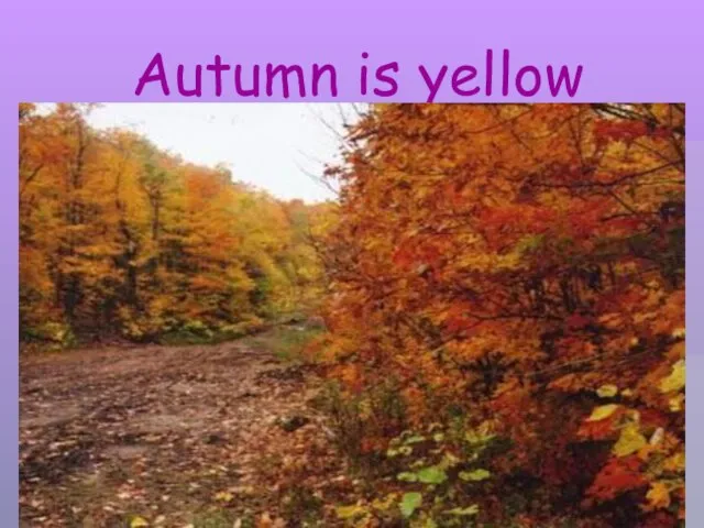 Autumn is yellow