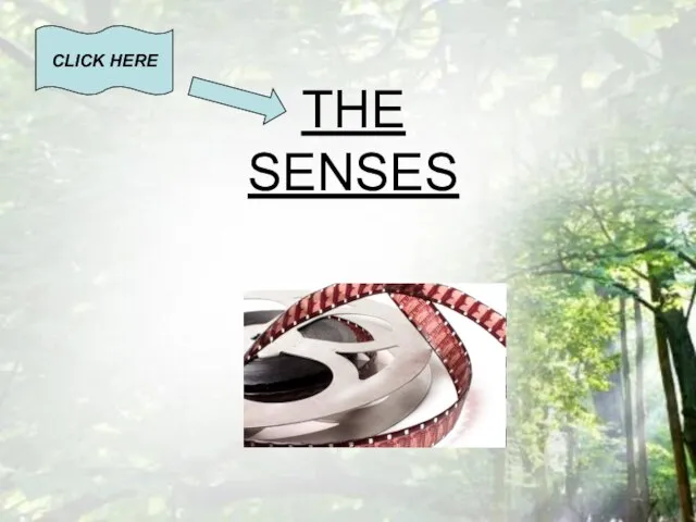 THE SENSES CLICK HERE