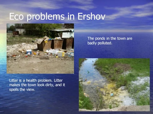Eco problems in Ershov Litter is a health problem. Litter makes the