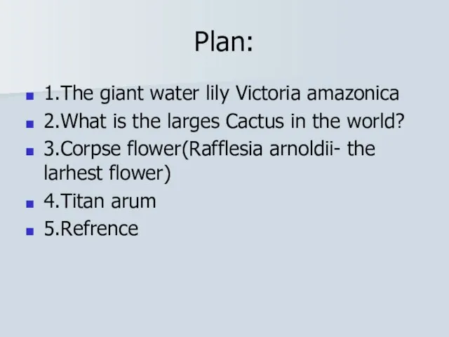 Plan: 1.The giant water lily Victoria amazonica 2.What is the larges Cactus