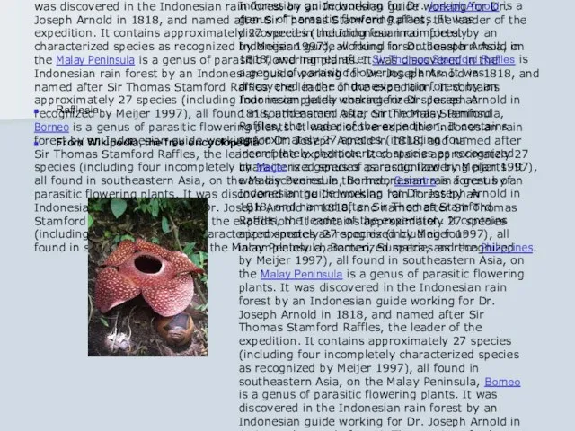 Rafflesia is a genus is a genus of parasitic is a genus