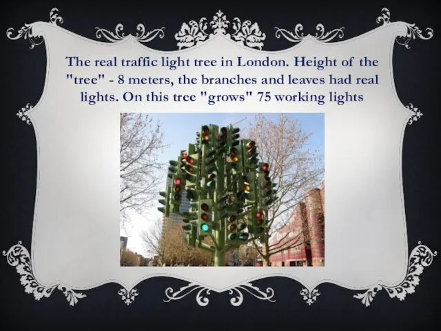 The real traffic light tree in London. Height of the "tree" -