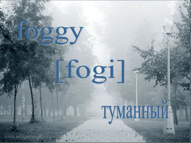 foggy [fogi] туманный