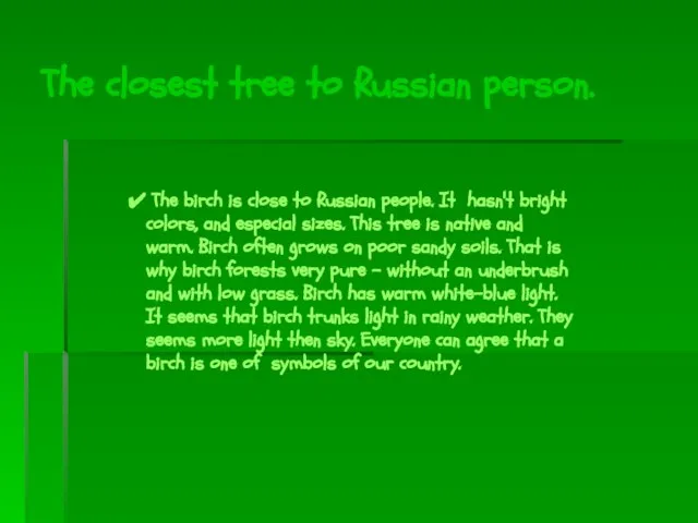 The closest tree to Russian person. The birch is close to Russian