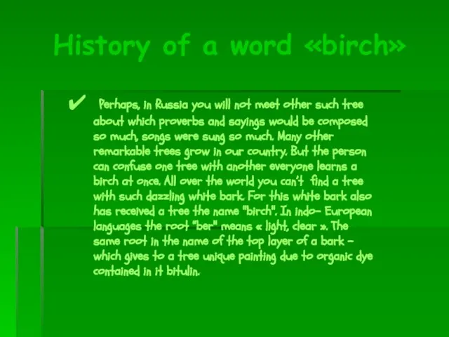 History of a word «birch» Perhaps, in Russia you will not meet
