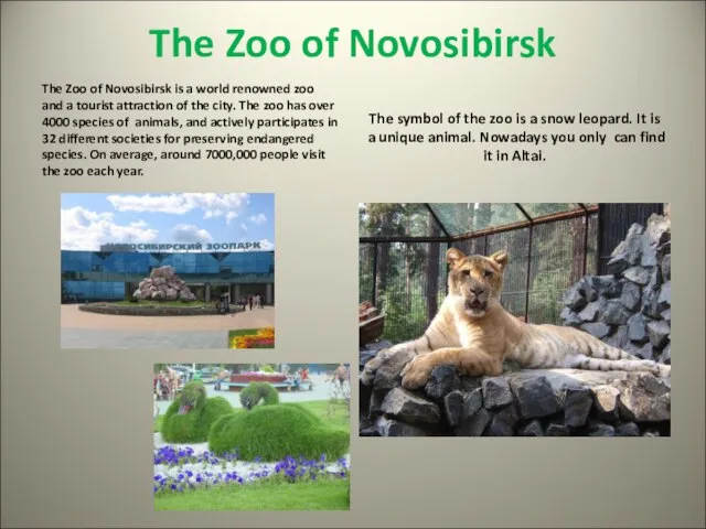 The Zoo of Novosibirsk The Zoo of Novosibirsk is a world renowned