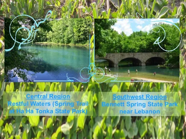 Central Region Restful Waters (Spring Trail at Ha Ha Tonka State Park)