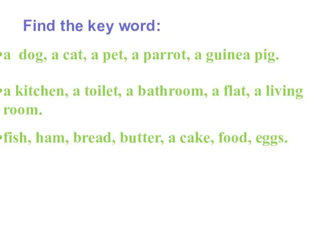 Find the key word: a dog, a cat, a pet, a parrot,
