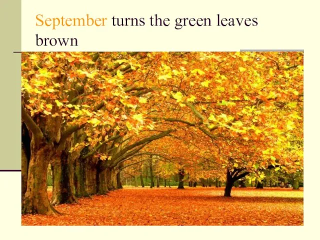 September turns the green leaves brown