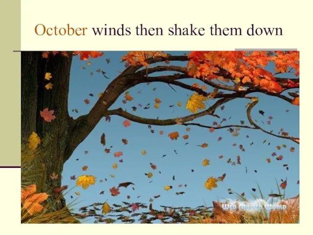 October winds then shake them down