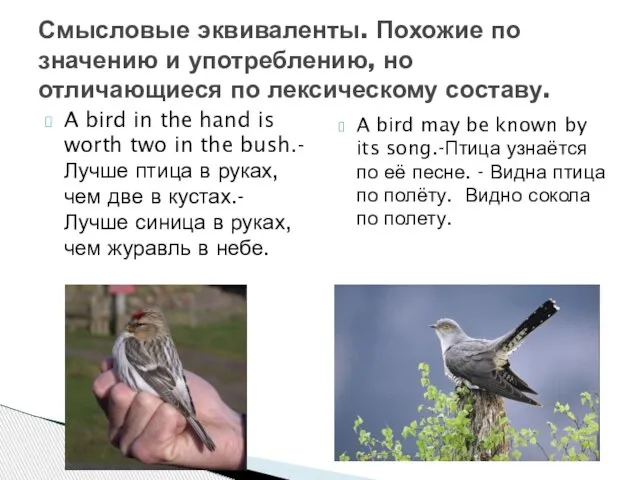 A bird in the hand is worth two in the bush.-Лучше птица