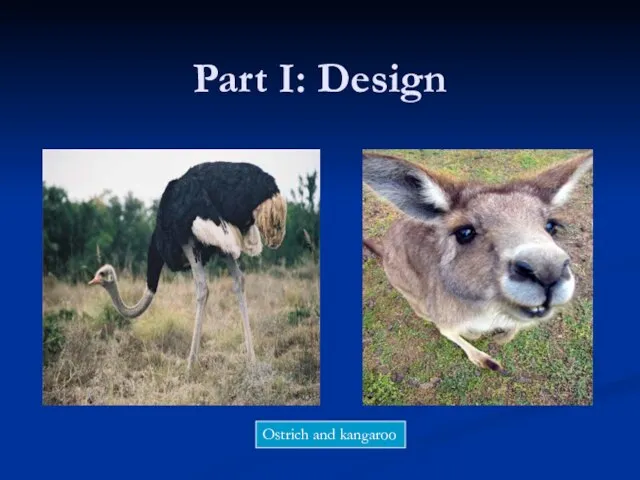 Part I: Design Ostrich and kangaroo