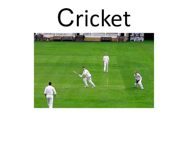 Сricket