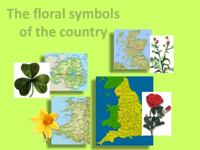 The floral symbols of the country