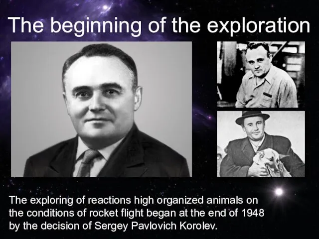 The exploring of reactions high organized animals on the conditions of rocket