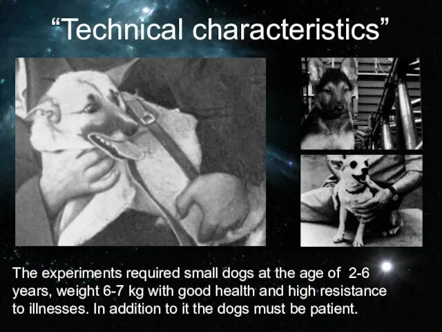The experiments required small dogs at the age of 2-6 years, weight