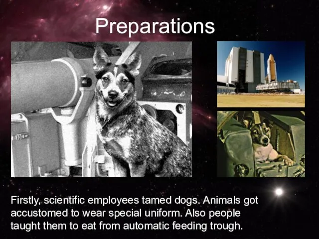 Firstly, scientific employees tamed dogs. Animals got accustomed to wear special uniform.