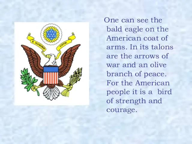 One can see the bald eagle on the American coat of arms.