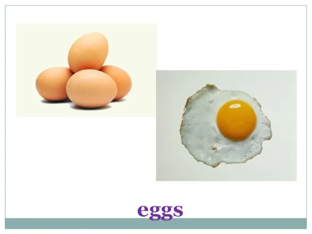 eggs