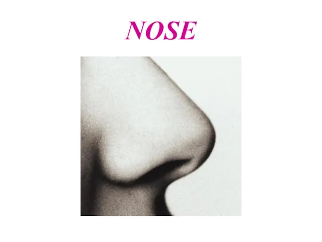 NOSE