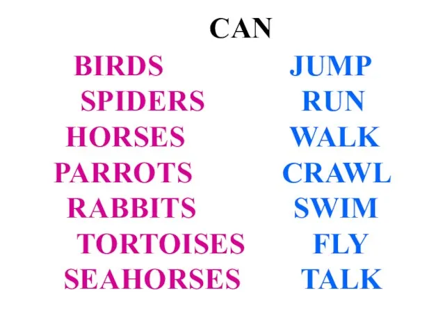 CAN BIRDS JUMP SPIDERS RUN HORSES WALK PARROTS CRAWL RABBITS SWIM TORTOISES FLY SEAHORSES TALK