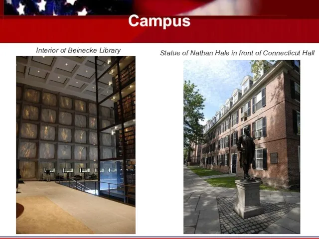 Campus Interior of Beinecke Library Statue of Nathan Hale in front of Connecticut Hall