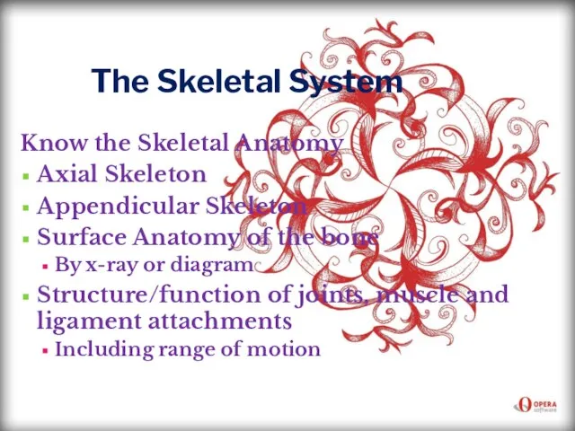 The Skeletal System Know the Skeletal Anatomy Axial Skeleton Appendicular Skeleton Surface