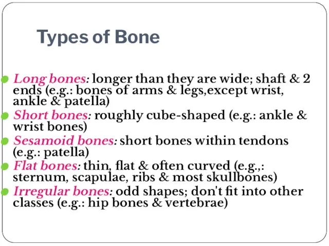Types of Bone Long bones: longer than they are wide; shaft &