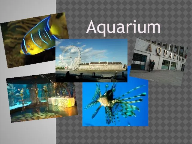 Aquarium