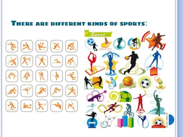 There are different kinds of sports: