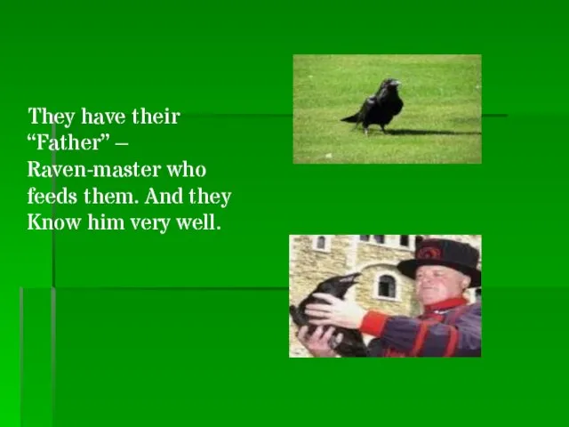 They have their “Father” – Raven-master who feeds them. And they Know him very well.