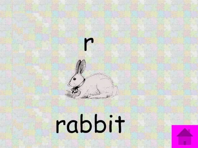 r rabbit