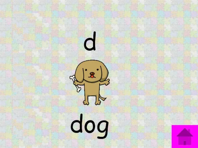 d dog