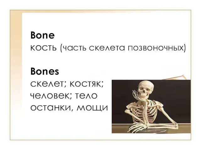 Bone кость (часть скелета позвоночных) Bones скелет; костяк; человек; тело останки, мощи