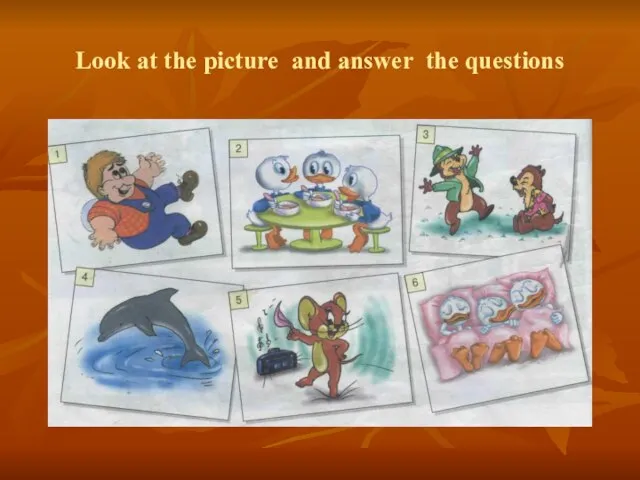 Look at the picture and answer the questions