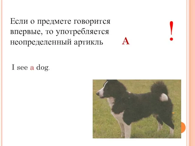 Если о предмете говорится впервые, то употребляется неопределенный артикль ! I see a dog. A